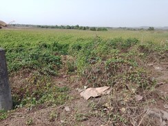 Plot For Sale in Panvel