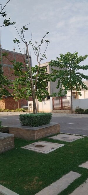  Plot – Garden View at Sector 84 - for Sale