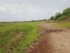 Plot For Sale in Dronagiri