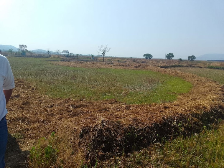 undefined, vindhane  1089 Sq.Ft. Plot In Vindhane Navi Mumbai 10428882