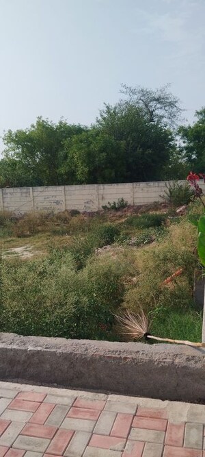 Plot Area in  Plot at Tikawali – for Sale