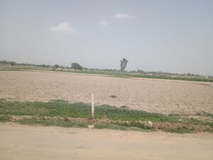  Plot For Sale in Jewar