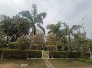 2 BHK Villa – Garden View at Upsidc Site B - for Rent