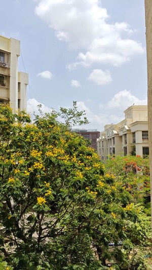 1 BHK Apartment – Exterior View View at Hiranandani Zen Maple, Powai - for Rent