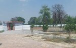 1000 Sq.Ft. Plot in Maulviganj