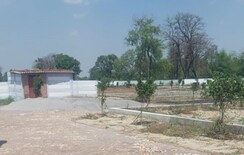 Plot For Sale in Maulviganj
