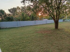  Plot For Sale in Tupran