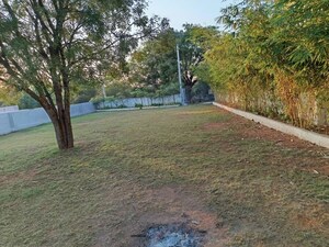  Plot – Exterior View View at Tupran - for Sale