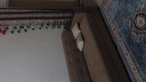 Furnished Amenities in 3 BHK Apartment at Conscient Habitat 78, Sector 78 – for Rent