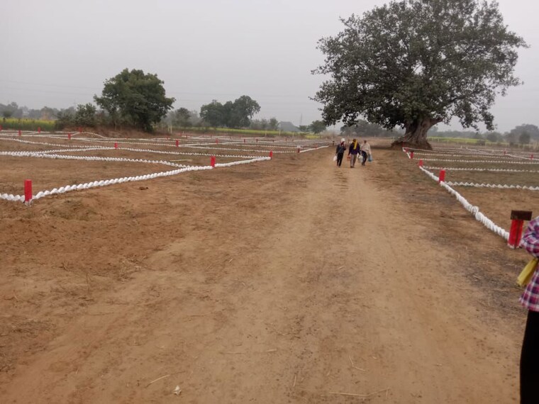 undefined, bihta  1200 Sq.Ft. Plot In Bihta Patna 10429997