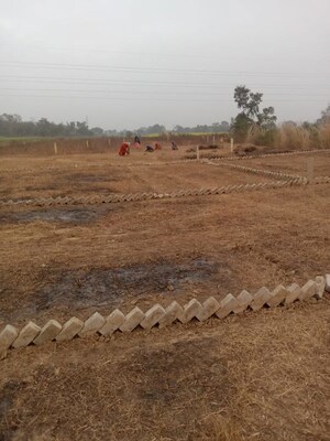 Plot Area in  Plot at Bihta – for Sale