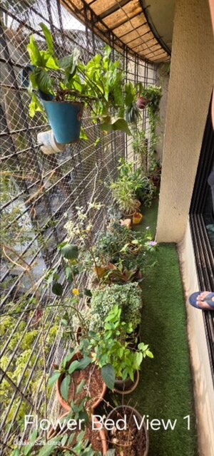 2.5 BHK Apartment – Garden View at Hanuman Chowk - for Rent