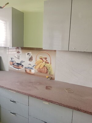 Kitchen in 3 BHK Builder Floor at Sector 18 – for Rent
