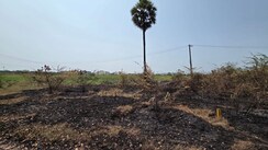 Plot For Sale in Poranki