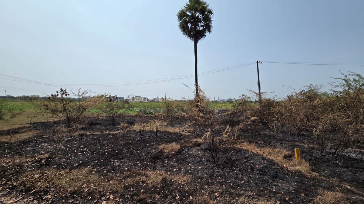 Plot For Sale in Poranki