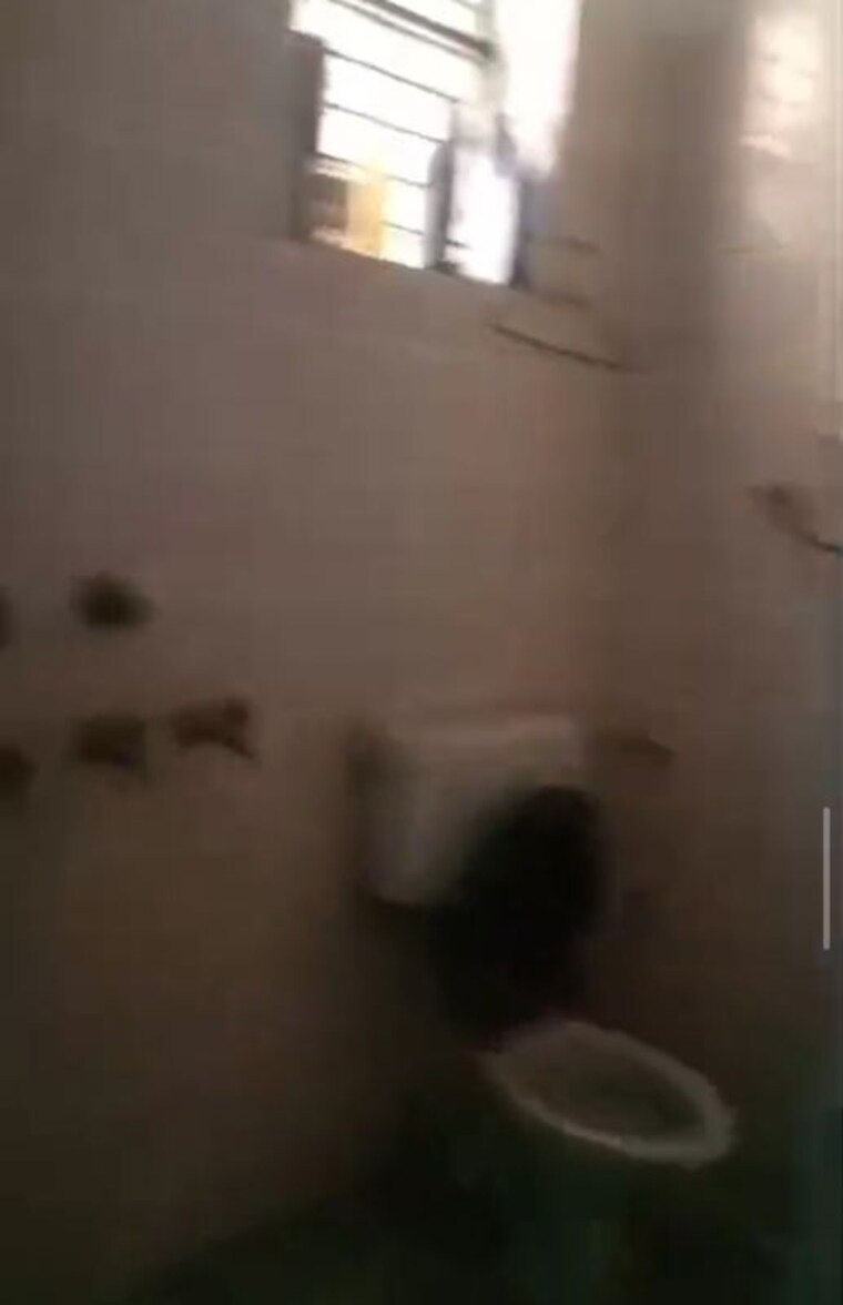 Bathroom, e block shastri nagar 3 Bedroom 1944 Sq.Ft. Independent House In E Block Shastri Nagar Ghaziabad 10430296