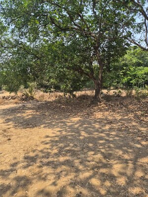  Plot For Sale in Kharghar