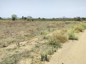 Plot Area in  Plot at Chandshi – for Sale