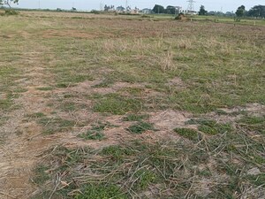  Plot For Sale in Jatani