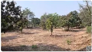  Plot For Sale in Kharghar