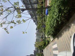 3 BHK Builder Floor – Exterior View View at Smart World Orchard, Sector 61 - for Rent