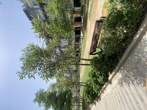 Balcony in 3 BHK Builder Floor at Smart World Orchard, Sector 61 – for Rent