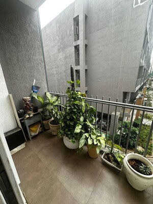 Balcony in 2 BHK Apartment at Pyramid Midtown, Sector 59 – for Rent