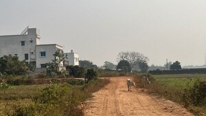 Plot Area in  Plot at Patrapada – for Sale