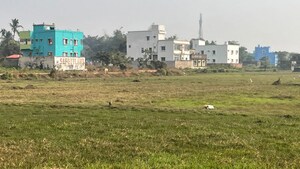 Plot Area in  Plot at Patrapada – for Sale