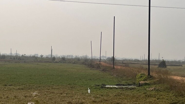 undefined, patrapada  1232 Sq.Ft. Plot In Patrapada Bhubaneswar 10430694
