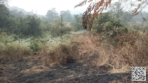 Plot Area in  Plot at Kharghar – for Sale
