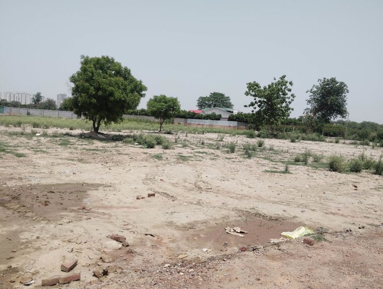 undefined, sector 128  1008 Sq.Yd. Plot In Sector 128 Noida 10430793
