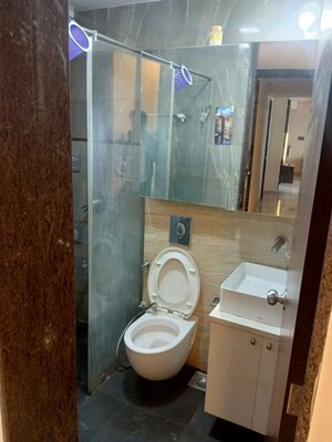 Bathroom in 3 BHK Apartment at Punawale – for Rent
