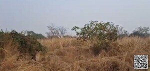  Plot For Sale in Kharghar