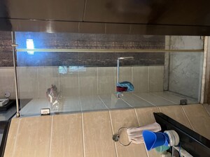 Bathroom in 3.5 BHK Builder Floor at Shivalik Colony – for Rent