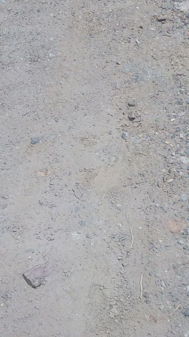 undefined, sohna  50 Sq.Yd. Plot In Sohna Gurgaon 10431109
