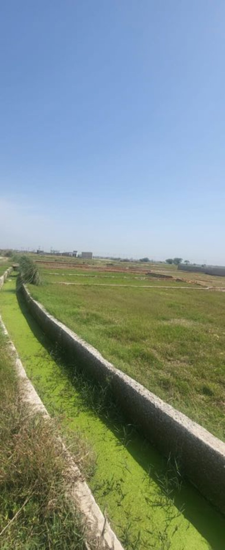 undefined, noida golf course  320 Sq.Mt. Plot In Noida Golf Course Noida 10431191