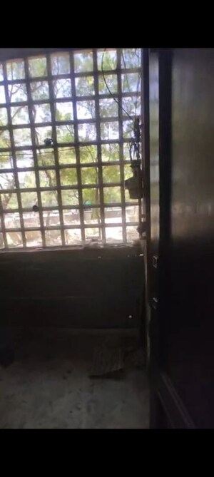 Balcony in 2 BHK Builder Floor at Vasant Kunj – for Rent