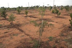 Plot Area in  Plot at Kandukur – for Sale