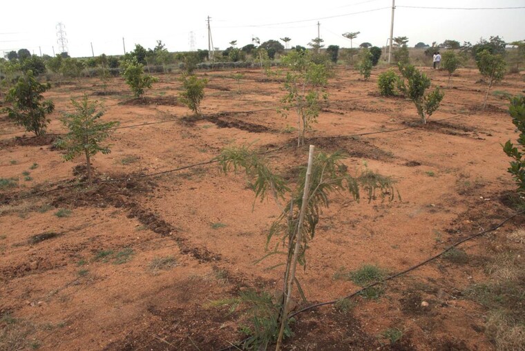 undefined, kandukur  604 Sq.Yd. Plot In Kandukur Hyderabad 10401027