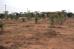 Plot Area in  Plot at Kandukur – for Sale
