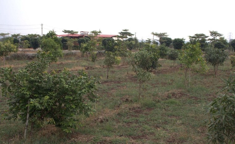 undefined, kandukur  604 Sq.Yd. Plot In Kandukur Hyderabad 10401027