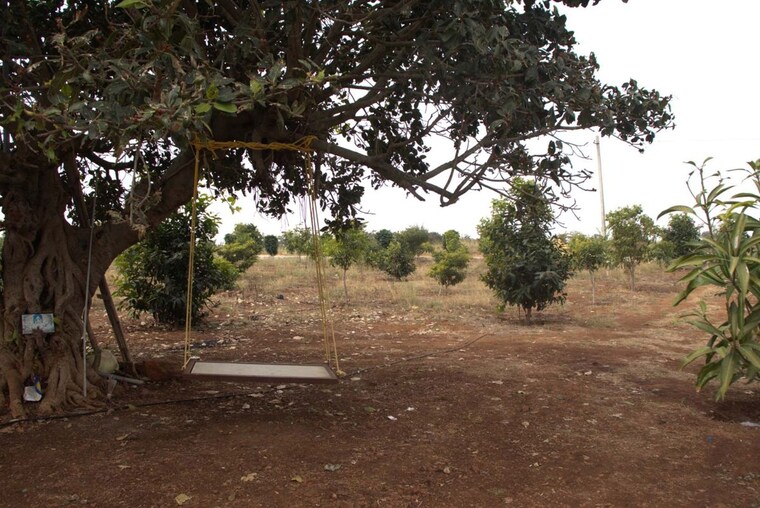 undefined, kandukur  604 Sq.Yd. Plot In Kandukur Hyderabad 10401027