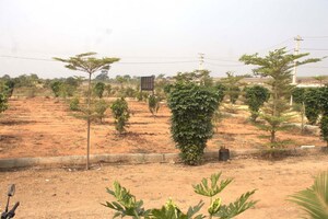  Plot For Sale in Kandukur