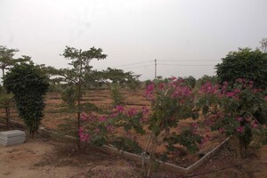 Plot Area in  Plot at Kandukur – for Sale