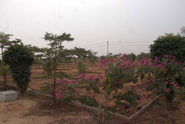 undefined, kandukur  363 Sq.Yd. Plot In Kandukur Hyderabad 10402761