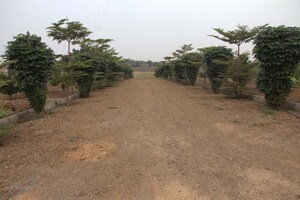 Plot Area in  Plot at Kandukur – for Sale
