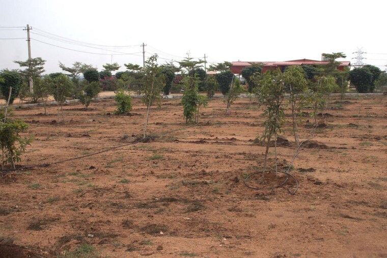 undefined, kandukur  363 Sq.Yd. Plot In Kandukur Hyderabad 10402761