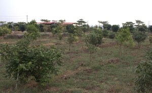 Plot Area in  Plot at Kandukur – for Sale