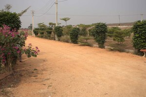 Plot Area in  Plot at Kandukur – for Sale